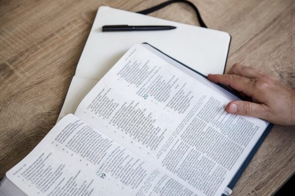 NBLA Biblia de Estudio MacArthur, Piel Genuina, Azul pizarra