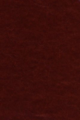 img_7775 Biblia de Estudio Dake (Marrón)