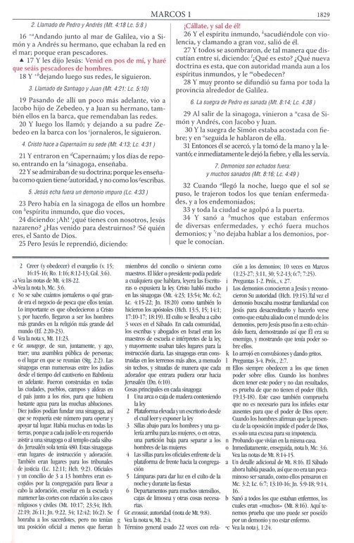 img_7781 Biblia de Estudio Dake (Marrón)