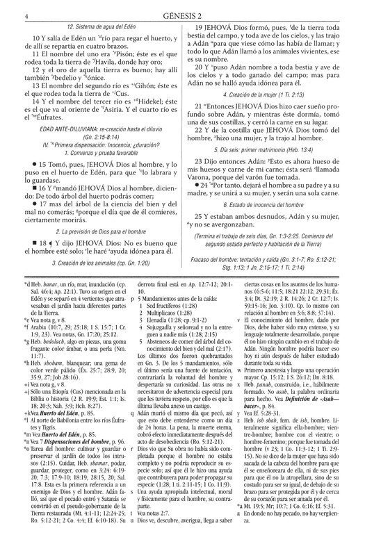 Biblia de Estudio Dake (Negro)