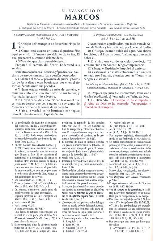 Biblia de Estudio Dake (Negro)