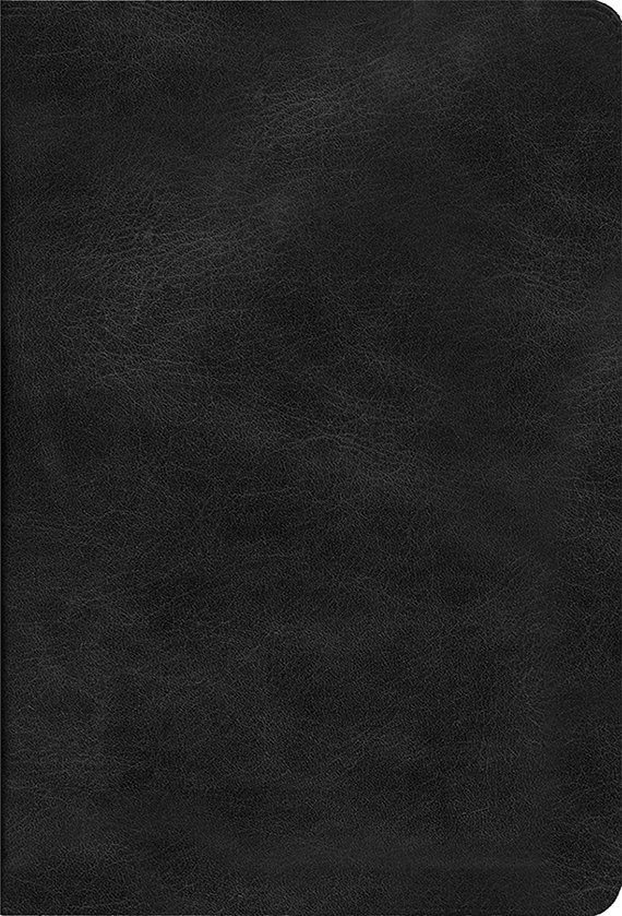 Biblia de Estudio Dake (Negro)
