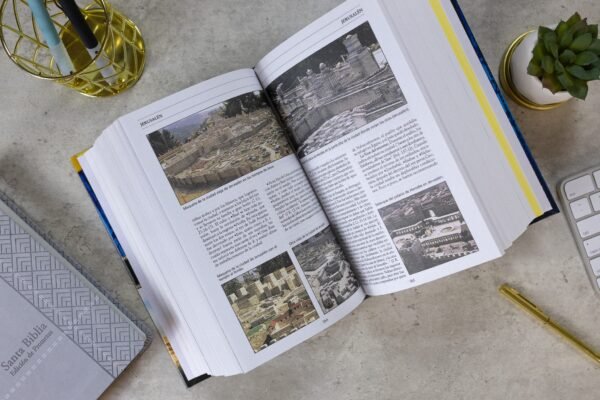 img_8128 Nuevo diccionario de la Biblia