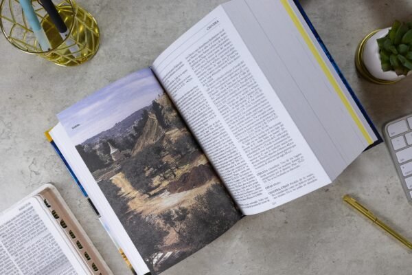 img_8129 Nuevo diccionario de la Biblia