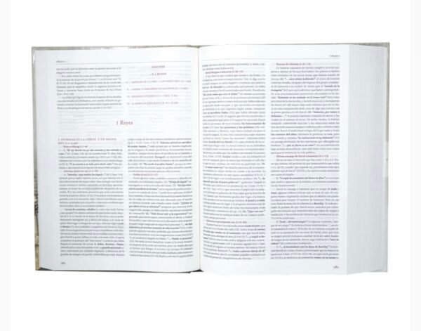 Comentario Bíblico Bruce