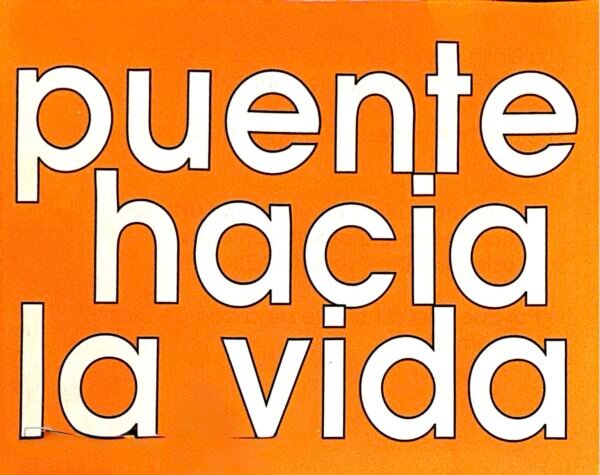 Tratado Puente Hacia la Vida (paquete de 100)