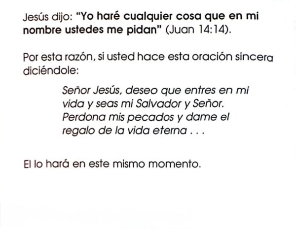 Tratado Puente Hacia la Vida (paquete de 100)