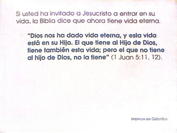 Tratado Puente Hacia la Vida (paquete de 100)