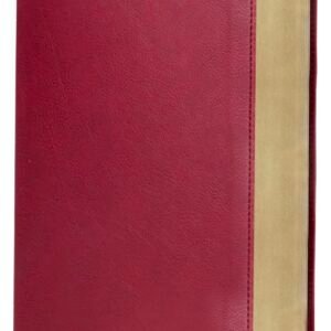 Biblia de Estudio Trasfondo Cultural (Rojo Vino sin indice)