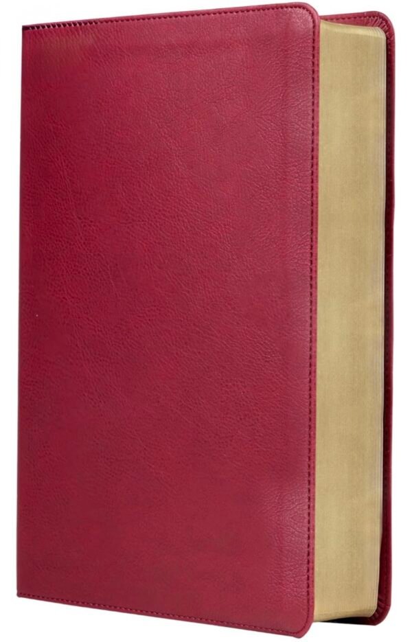 Biblia de Estudio Trasfondo Cultural (Rojo Vino sin indice)