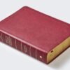 Biblia de Estudio Trasfondo Cultural (Rojo Vino sin indice)