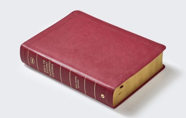 Biblia de Estudio Trasfondo Cultural (Rojo Vino sin indice)