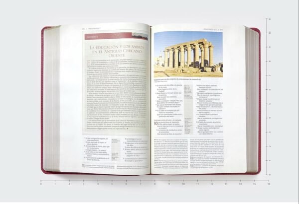 Biblia de Estudio Trasfondo Cultural (Rojo Vino sin indice)