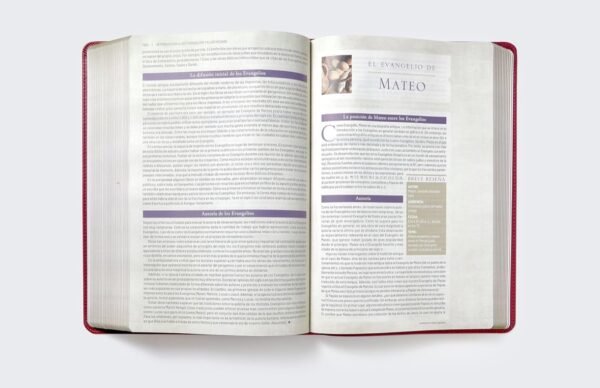 Biblia de Estudio Trasfondo Cultural (Rojo Vino sin indice)