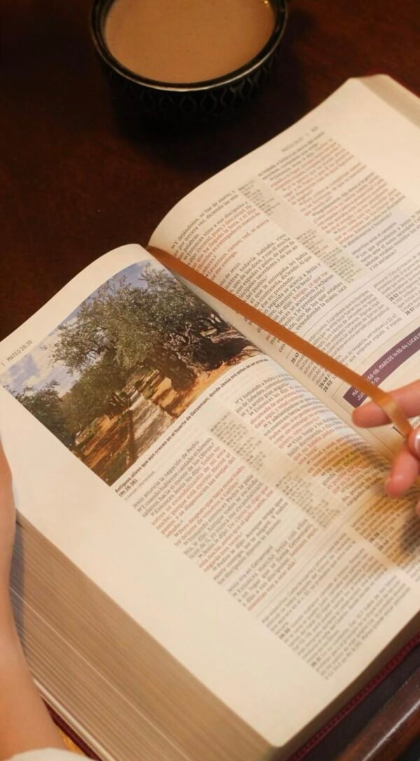 Biblia de Estudio Trasfondo Cultural (Rojo Vino sin indice)