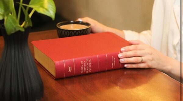 Biblia de Estudio Trasfondo Cultural (Rojo Vino sin indice)