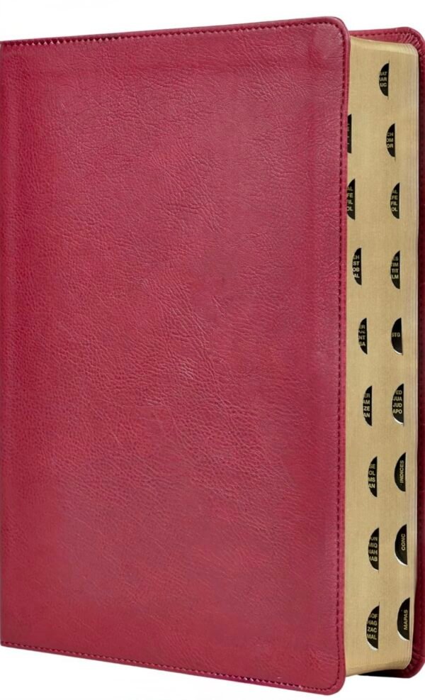 Biblia de Estudio de Transfondo Cultural (Rojo Vino con Índice)