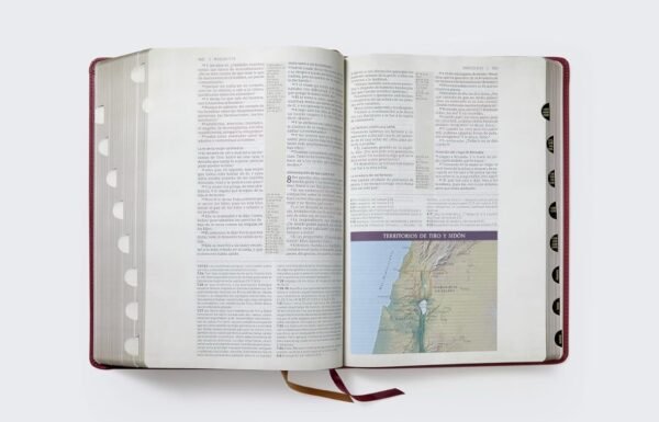 Biblia de Estudio de Transfondo Cultural (Rojo Vino con Índice)