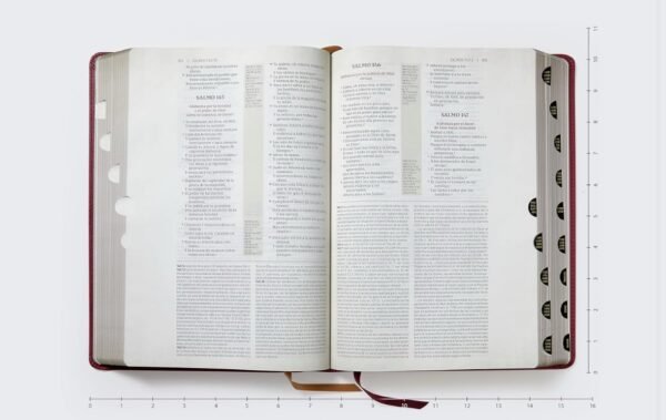 Biblia de Estudio de Transfondo Cultural (Rojo Vino con Índice)