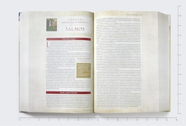 Biblia de Estudio de Transfondo Cultural