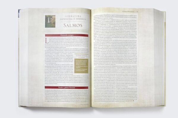 Biblia de Estudio de Transfondo Cultural