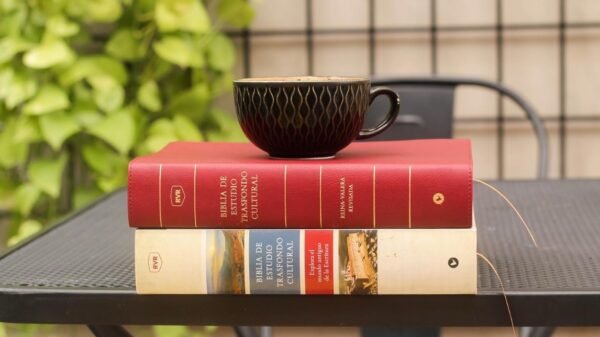 Biblia de Estudio de Transfondo Cultural