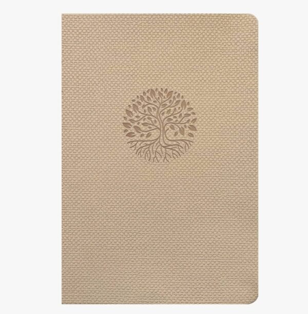 Biblia Valor Premium NTV