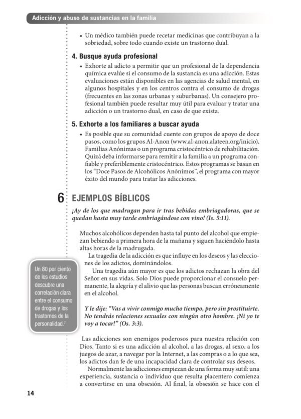 Consejería bíblica Tomo 2: Manual de consulta sobre el matrimonio y la familia