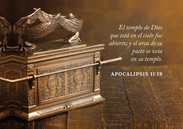 Cuadro enmarcado: El Templo de Dios que está en el cielo. (Apocalipsis 11:19)