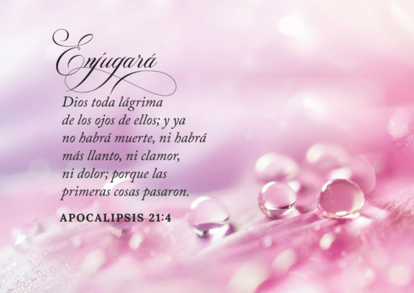 img_9192 Cuadro enmarcado: Enjuagara Dios toda lagrima. (Apocalipsis 21:4)