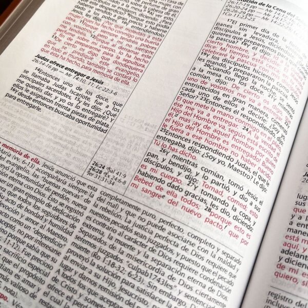 Biblia de Estudio Vida Plena -Ampliada (Negro)