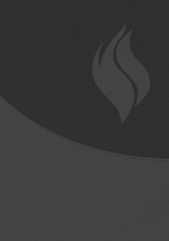 Biblia de Estudio Vida Plena -Ampliada (Negro)