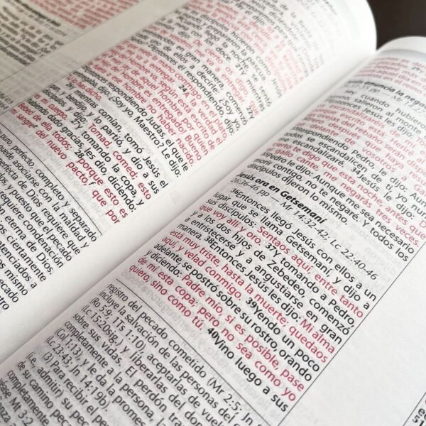 Biblia de Estudio Vida Plena -Ampliada (Negro)