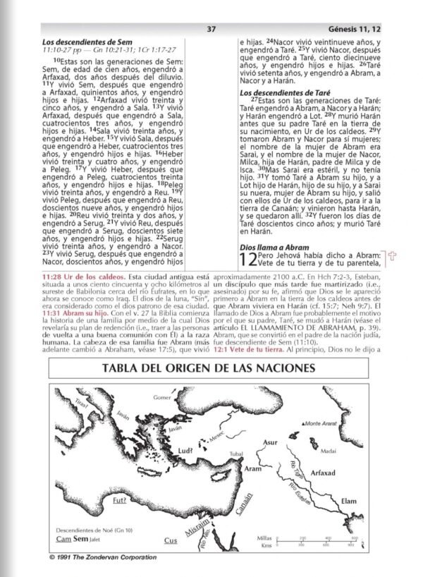 Biblia de Estudio Vida Plena-Ampliada (Marrón)