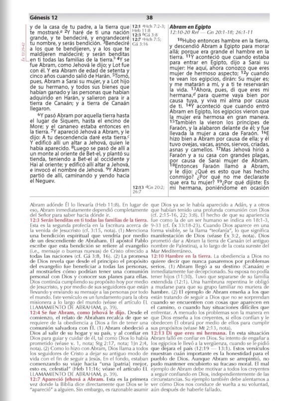 Biblia de Estudio Vida Plena-Ampliada (Marrón)