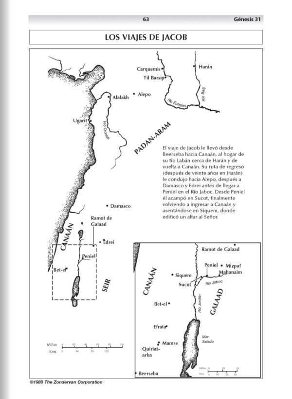 Biblia de Estudio Vida Plena-Ampliada (Marrón)