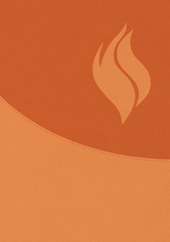 Biblia de Estudio Vida Plena-Ampliada (Marrón)