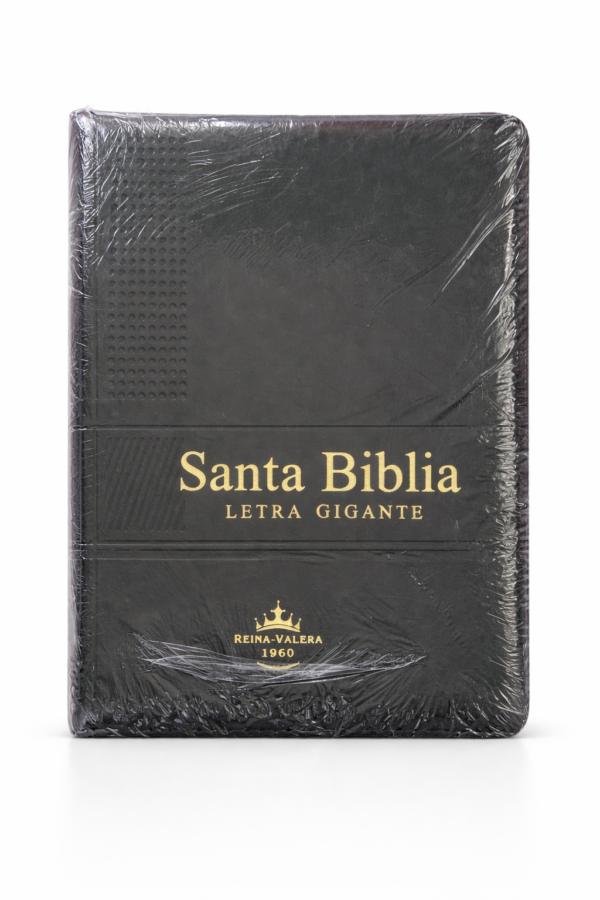 Biblia Tamaño Manual Letra Grande Negro 14 puntos (Zipper)