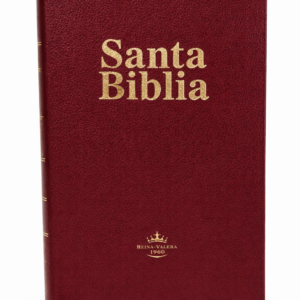 Biblia Letra Gigante 14 puntos Índice