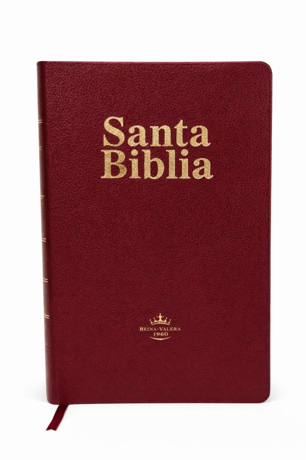 Biblia Letra Gigante 14 puntos Índice