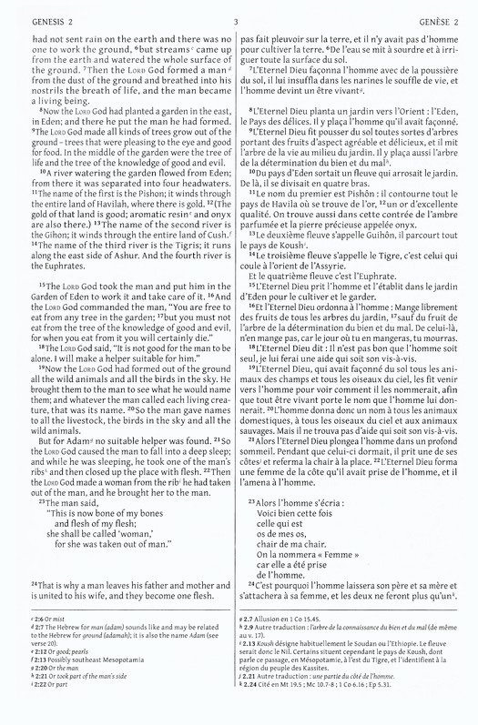 Semeur, NIV, French/English Bilingual Bible, Hardcover