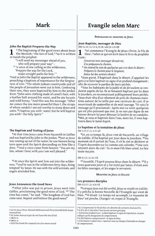 Semeur, NIV, French/English Bilingual Bible, Hardcover