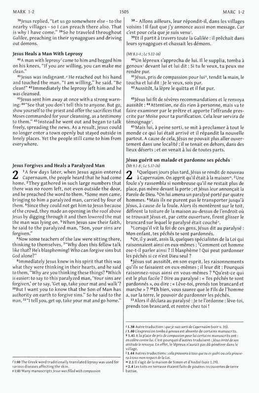 Semeur, NIV, French/English Bilingual Bible, Hardcover