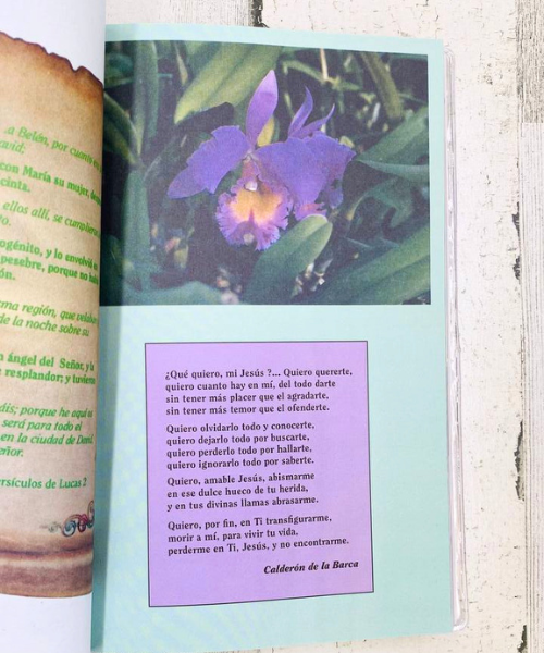 Himnario Celebremos su Gloria Tamaño Manual, Rustico, Letra