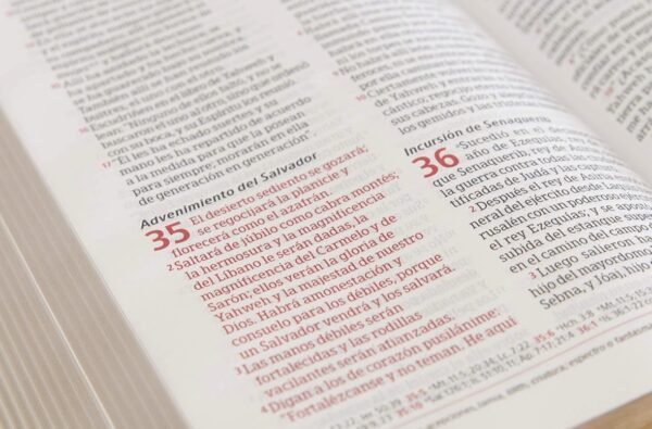 Biblia Peshitta Negro Índice