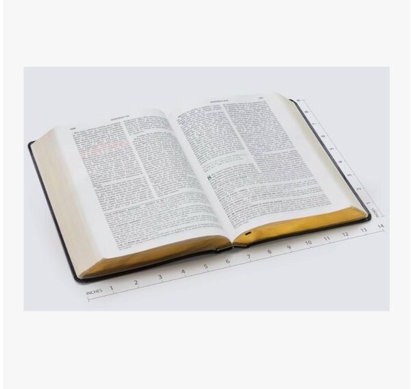 img_0609 Biblia de Estudio Vida Plena, Piel Negro, Índice