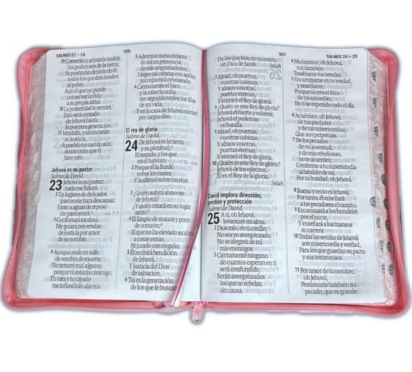 Biblia Letra Supergigante 19 puntos Rosada con Zipper