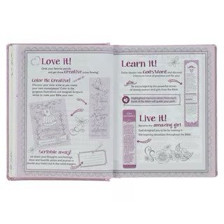 Metallic Pink Faux Leather My Creative Bible for Girls - an ESV Journaling Bible