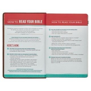 Lion Brown Faux Leather Kid's KJV Bible