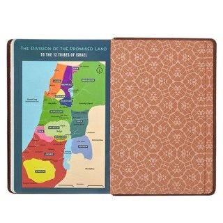 Lion Brown Faux Leather Kid's KJV Bible